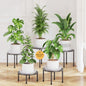 LASZOLA Small Plant Pot Stand Indoor Outdoor with Saucers Trays, 5Pcs Metal - color: Bronze with Saucers