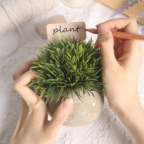 VGOODALL 120 PCS 4 Inch T, Type Plant Labels, Pen, Garden Labels Outdoor