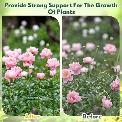 Geelin 6 Pcs Adjustable Peony Cages and Supports, 24 x 12 Inch / 9 x 12 Inch Metal Peony Support Cage, Large Plant Frame Rings for Garden Outdoor Plants Flowers Tomato Vegetables, Height Adjustable - size: 24 x 12 Inch / 9 x 12 Inch