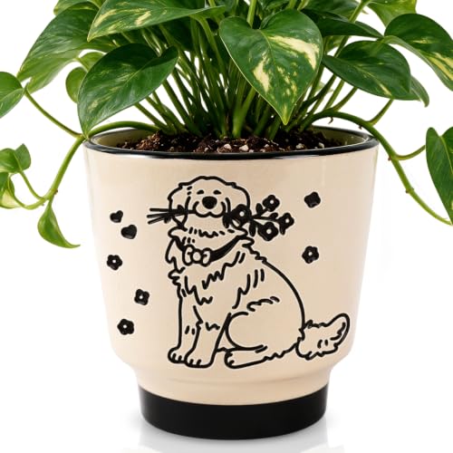 STHIE Ceramic Planters with Drainage Holes, 5 Inch Pots for Indoor Plants - color: Tr-goldflower04