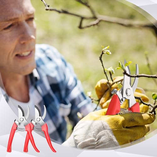 Chumia 30 Pack Garden Shears Flower Clippers for Plant Cutting, Orange - color: Orange