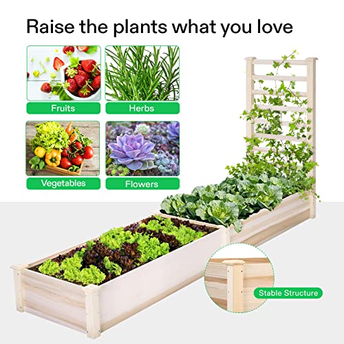 VIVOSUN Wooden Raised Garden Bed, 48 x 24 x 30 Inches, Outdoor Wood Planter Box with Gloves and a Liner, with Trellis for Vine Climbing for Garden, Patio, Balcony, Backyard and Outdoors (Pack of 2) - size: 48 x 24 x 30 In(With Trellis Pack of 2)