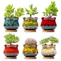 Cute Ceramic Succulent Planters, Garden Pots with Drainage and Attached Saucer, Set of 6 - Plants Not Included