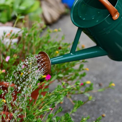 Metal Watering Can 1 Gallon for Outdoor Garden Plants, Green - color: Green With Copper Accents