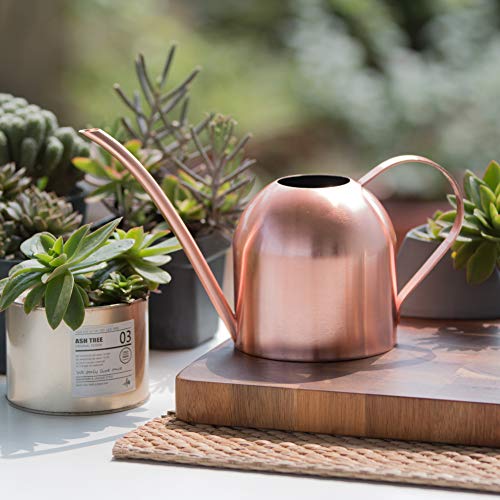 Rose Gold Watering Can for Indoor Plants, 450ml/15oz - size: Rose Gold 15 oz