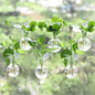 Bunmery 6 pcs Window Propagation Stations, Easy to Install Plant Propagation Bulbs with Suckion Cups, No Nails Wall Hanging Planter Propagation Station, Glass Plant Terrarium Vase - color: Clear Bulb, size: 6 PCS