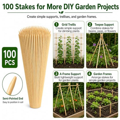 100 PCS 3FT Bamboo Plant Stakes, 6.3mm Thick Bamboo Stakes - size: 36 inch 6.3mm