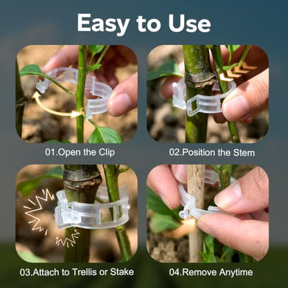 LOOHOI 100Pcs Tomato Clips for Climbing Plants Trellis Plant Support Clips - color: Translucent