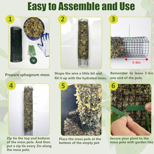 6 Pack Metal Moss Pole, 40" Large Moss Poles for Plants Monstera, Stackable Sphagnum Moss Pole for Plants Work with Sphagnum Moss(6 Pack 40") - color: 6 Pack 40"