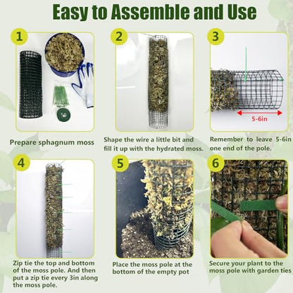 4 Pack Metal Moss Pole, 24" Moss Poles for Plants Monstera, Stackable Sphagnum Moss Pole for Plants Work with Sphagnum Moss(4 Pack 24") - color: 4 Pack 24"