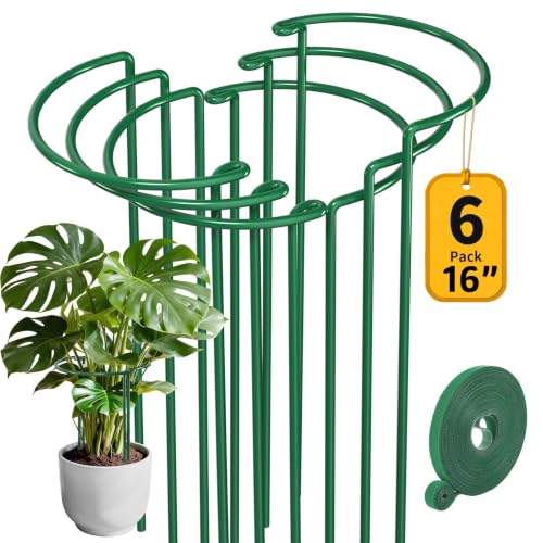 AMAGABELI 6 Pack 16 Inch Plant Support Stakes Peony Cage Heavy Duty Ring Metal Garden Support Structures Plant Cage with Ties for Indoor Flower Outdoor Tomato Hydrangea Monstera - color: 6-pack, size: 10" W x 16" H