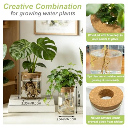 Glass Plant Propagation Stations for Plants, Propagation Flower Vases Set