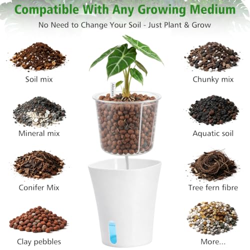 3 Inch Self Watering Pots for Indoor Plants, 10 Pack Clear Nursery Pots with Drainage & Water Level Indicator, Plant Pots for African Violet, Flowers, Herbs - size: 3 Inch