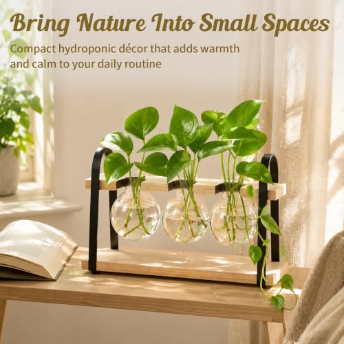 3-Bulb Plant Propagation Station, Glass Vase Terrarium, Retro White - color: White