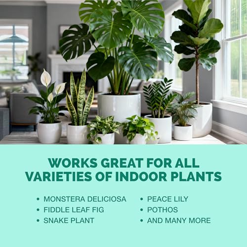 Indoor Plant Food, Complete Liquid Fertilizer for Houseplants, 8oz - size: 8 oz (1/2 Pint)