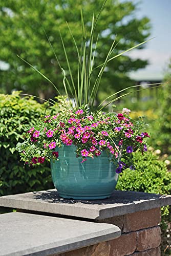 Garden Elements Indoor/Outdoor Glazed Brushed Happy Plastic Planter, Large, Dark Aqua, 15" (Pack of 2) - color: Dark Aqua