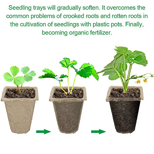 120 Cells Seed Starter Tray Kit, Organic Germination Seedling 10 Pack