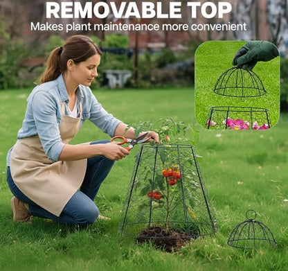 Life Finds Chicken Wire Garden Cloche Set, 6 Pack, LF-GC6P