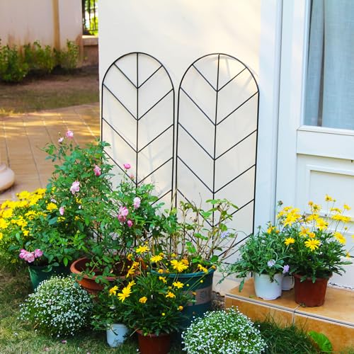 2 Pack Black Metal Trellis for Climbing Plants - 45" H x 15.9" W Garden Trellis for Roses, Vegetables, Flowers, Lawn, Backyard - color: 45 inch-2 pack