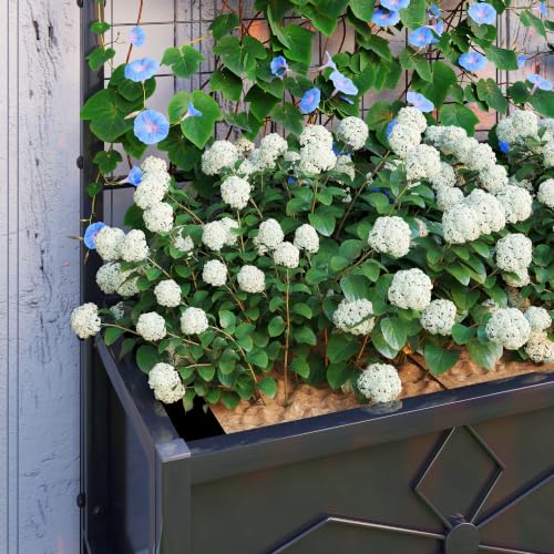 Outsunny Planter Box with Trellis, 35.4 x 15.7 x 47.2 inch, Black - color: Black