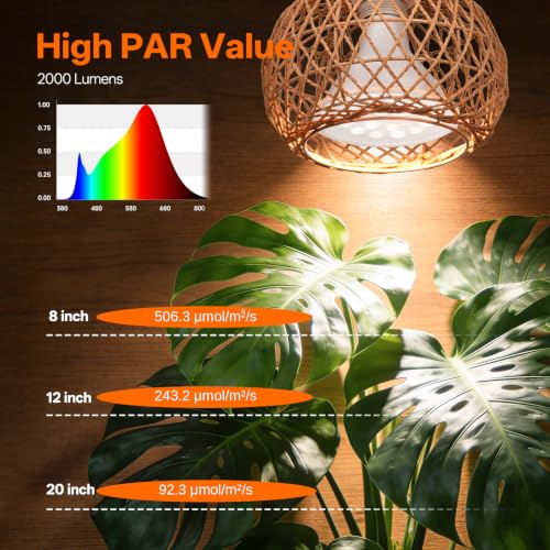 Bstrip Hanging Grow Light for Indoor Plants 18W - size: Rattan Lantern-Hanging