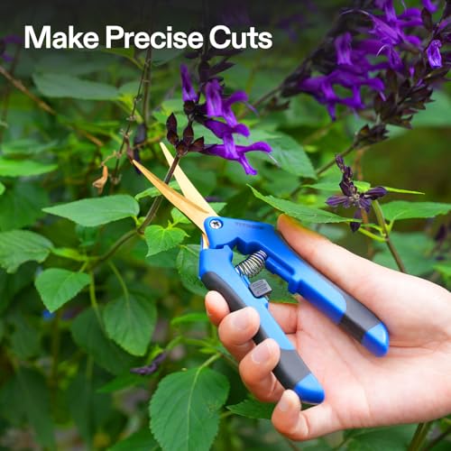 VIVOSUN 6.5 Inch Garden Scissors, Blue Pruning Shears for Plants, 3-Pack - style: Blue Curved Blade