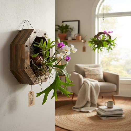Staghorn Fern Mounting Kit - Wood Wall Planter for Orchids,Herbs & Indoor Plants | Hanging Plant Holder,Basket & Stand for Wall Decor(8.18inch) - size: 8.18inch
