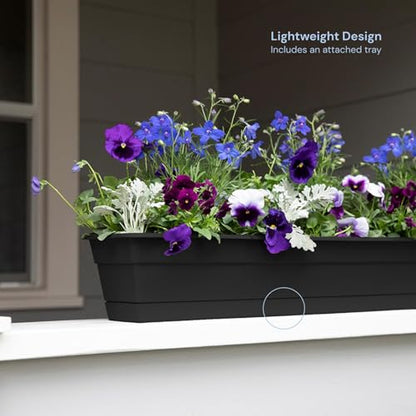 Bloem Dura Cotta 30" Plastic Window Box Planter with Saucer, Black, 3-Pack - color: Black, size: 30" (Pack of 3)