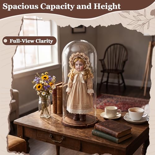 22'' × 8.66'' Glass Dome Cloche Display with Wood Base, Clear Display Jar - size: 8.66''×22''