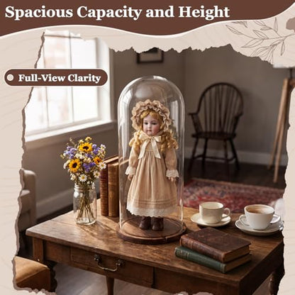 22'' × 8.66'' Glass Dome Cloche Display with Wood Base, Clear Display Jar - size: 8.66''×22''