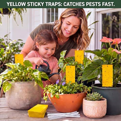 Qualirey 100 Pcs Yellow Sticky Traps for Gnats, 9.8 x 5.9 Inch - color: Yellow, size: 9.8 x 5.9 Inch