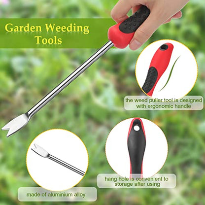 CHENGU 2 Pack Dandelion Weeder Tool with Handle, Polished Aluminum Alloy Weed Puller, Two-Pronged Fork Weeder Tool for Lawn Yard Farmland Gardening Transplant Plant