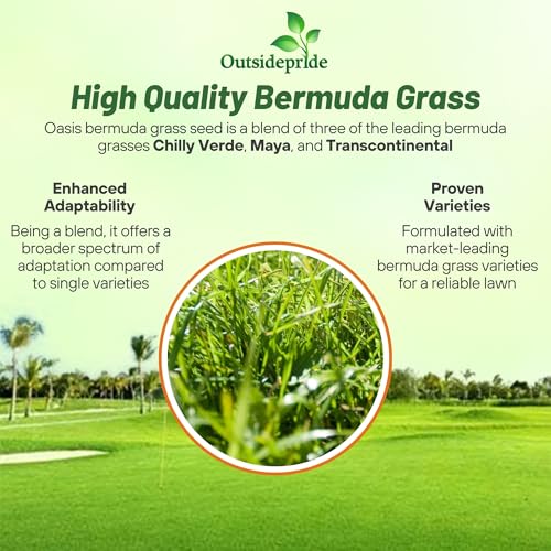 Outsidepride Oasis Bermuda Grass Seed - 25 lbs Warm Season, High Traffic, Heat Resistant, Drought-Tolerant, Low-Maintenance, Fast Growing Turf Grass for Lawn, Ideal for Sunny Areas, Thick Coverage - size: 25 lb.