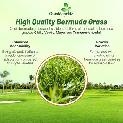 Outsidepride Oasis Bermuda Grass Seed - 25 lbs Warm Season, High Traffic, Heat Resistant, Drought-Tolerant, Low-Maintenance, Fast Growing Turf Grass for Lawn, Ideal for Sunny Areas, Thick Coverage - size: 25 lb.