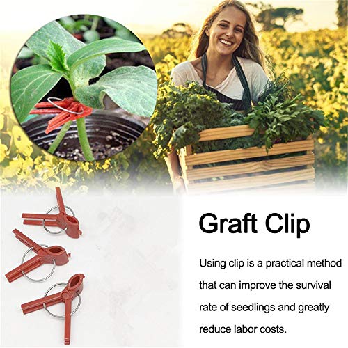 Suxgumoe Plants Graft Clips, 100PCS Plastic Round Mouth Grafting Clips Gardening Tool for Cucumber Eggplant Tomato Watermelon