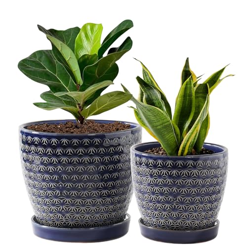 Plant Pots, Planters for Indoor Plants, Ceramic Plant Pots, 6.5+5.5 inch Plant Pot with Drainage and Saucer, Pots for Plants with Hole Mesh Pad, Set of 2, Reactive Glaze Blue - color: Reactive Glaze Blue