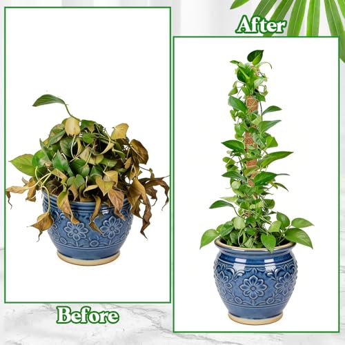 Moss Pole Monstera Plant Support 2 Pack 28 Inch Bendable Moss Pole for Monstera Plants Indoor Handmade Coco Coir Pole Plant Sticks Support Stakes for Potted Plants Philodendron to Grow Upwards - size: 28" with jute rope and straps