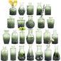TBWIND 24pcs Green Glass Bud Vases Set - color: Green-24pcs, size: 24Pcs