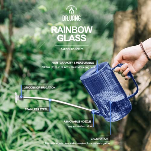 Small Watering Can Indoor Plants with Long Spout (1L, Blue) - color: Blue