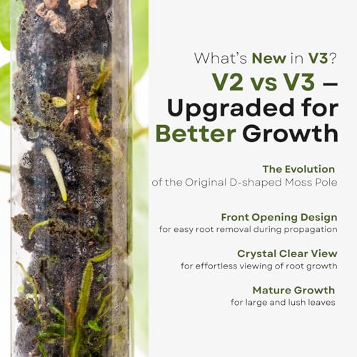 THICCLY V3 GrowPole Large 10 Pcs - Front Opening Plastic Moss Poles for Climbing Plants, D-Shaped Moss Pole for Monstera Plant Support Plant Climbing Pole, Plastic Plant Pole Support for Philodendron - size: V3 GrowPole Large 10 Pcs