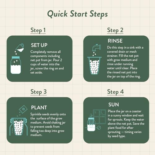 Modern Sprout Mason Garden Jar - Self-Watering Hydroponics Kit - Cilantro - color: Cilantro, size: Garden Jars