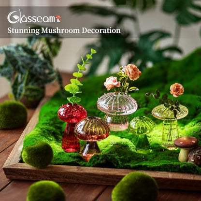 Glasseam Mushroom Plant Propagation Station: 10 Pcs Glass Mini Terrarium - color: Colorful, size: 10