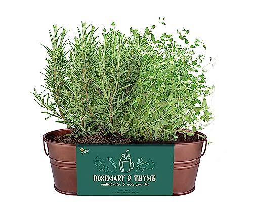 Buzzy Seeds Rosemary & Thyme Herb Grow Kit, Copper Windowsill Planter - color: Copper