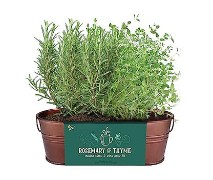 Buzzy Seeds Rosemary & Thyme Herb Grow Kit, Copper Windowsill Planter - color: Copper