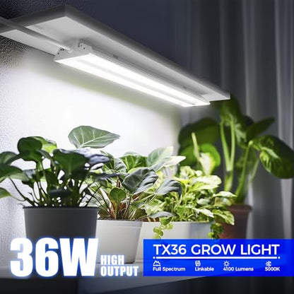 Barrina TX36 2FT LED Grow Light, 36W(200W Equivalent), 5000K Full Spectrum - color: 5000K, size: 2FT-36W-1P