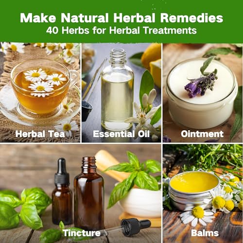 Lush&Dew Ancestral Apothecary Medicinal Tea Herb Seed Chest, Gardening Gift - style: Medicinal Herbs