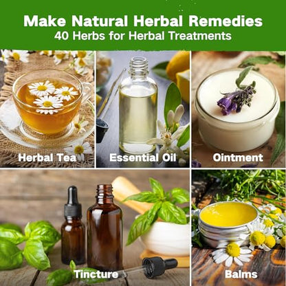 Lush&Dew Ancestral Apothecary Medicinal Tea Herb Seed Chest, Gardening Gift - style: Medicinal Herbs