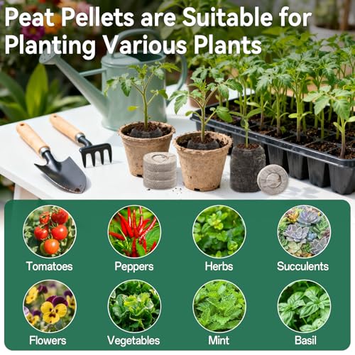 Halatool 300 Pcs 30mm Peat Pellets for Seedlings, Seed Starter Soil - size: 300 Pcs 30mm