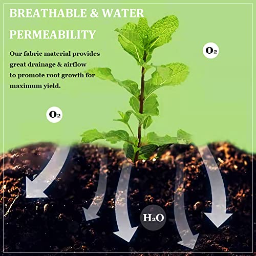 Fabric Raised Garden Bed, 2x4 FT Garden Grow Bags for Vegetables