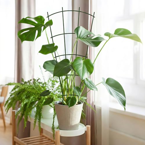 Thealyn 24" Metal Plant Trellis, Climbing Plant Support, 4 Pack (Green) - color: Green, size: 24 inch